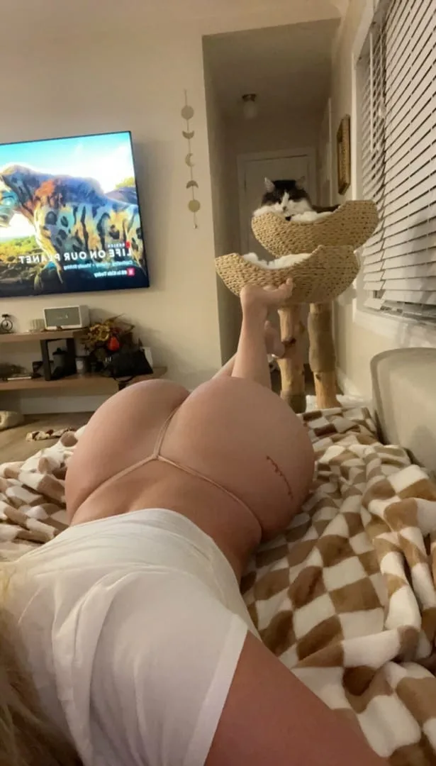 Borbosia