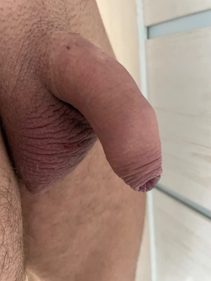 Baryek